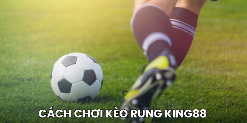 Cách chơi kèo rung đơn giản tại King88