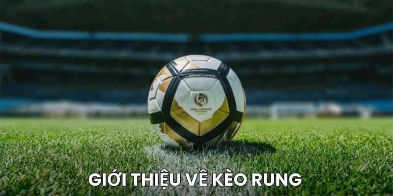 Giới thiệu đôi nét về Running Ball