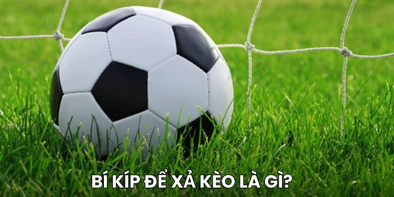 Bí kíp xả kèo là gì?